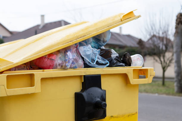 Best Yard Waste Removal  in Lton, IN